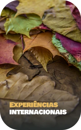 experiencias-internacionais